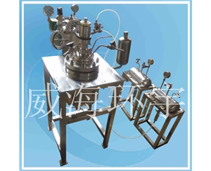 上海3L 聚醚反應(yīng)釜