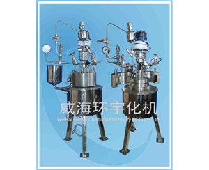 上海0.5L 快開式反應(yīng)釜