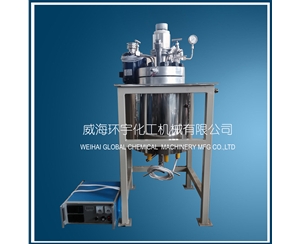上海5L高壓反應釜